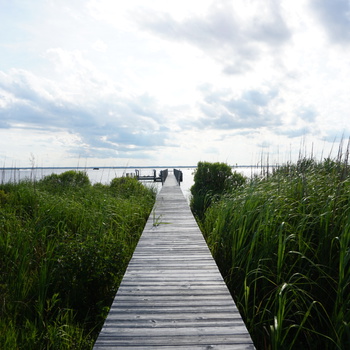 Dock