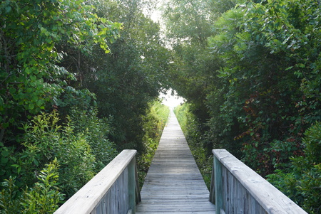 Dock3
