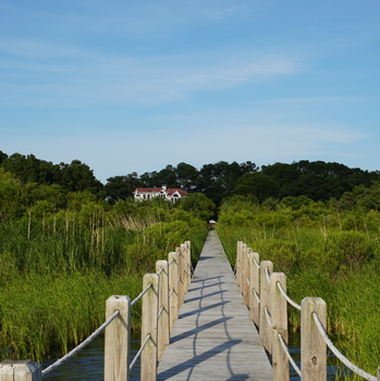 Dock House